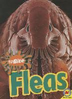 Fleas