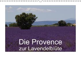 Die Provence zur Lavendelblüte (Wandkalender immerwährend DIN A3 quer)
