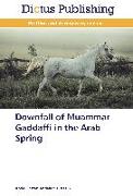 Downfall of Muammar Gaddaffi in the Arab Spring