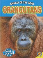 Orangutans