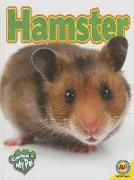 Hamster