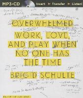 Overwhelmed: Work, Love, and Play When No One Has the Time