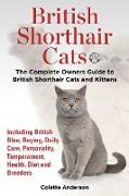 British Shorthair Cats, The Complete Owners Guide to British Shorthair Cats and Kittens Including British Blue, Buying, Daily Care, Personality, Temperament, Health, Diet and Breeders