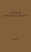 Caste in a Peasant Society