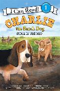 Charlie the Ranch Dog: Stuck in the Mud