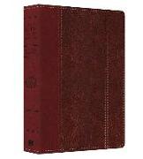 Large Print Study Bible-KJV