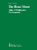 The House Mouse