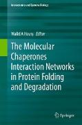 The Molecular Chaperones Interaction Networks in Protein Folding and Degradation