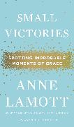 Small Victories: Spotting Improbable Moments of Grace