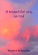 A beautiful sky,so red