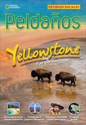 Ladders Reading/Language Arts 5: Yellowstone National Park (On-Level, Social Studies), Spanish