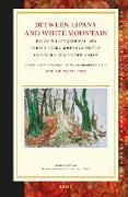 Between Lipany and White Mountain: Essays in Late Medieval and Early Modern Bohemian History in Modern Czech Scholarship