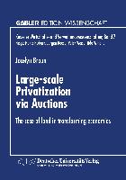 Large-scale Privatization via Auctions