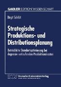Strategische Produktions- und Distributionsplanung