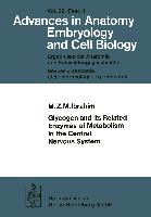 Glycogen and its Related Enzymes of Metabolism in the Central Nervous System