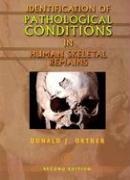 Identification of Pathological Conditions in Human Skeletal Remains