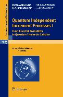 Quantum Independent Increment Processes I