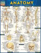 Anatomy - Reference Guide (8.5 X 11): A Quickstudy Reference Tool