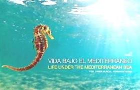 Vida bajo el Mediterráneo = Life under Mediterranean sea