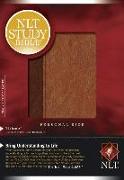 Study Bible-NLT-Personal Size