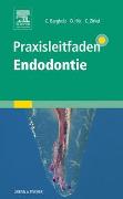 Praxisleitfaden Endodontie
