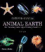 Animal Earth