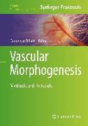 Vascular Morphogenesis