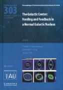 The Galactic Center (Iau S303): Feeding and Feedback in a Normal Galactic Nucleus