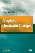 Apoptotic Chromatin Changes