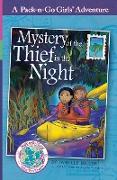 Mystery of the Thief in the Night