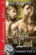 A Mate at Last [Nehalem Pack 8] (Siren Publishing Everlasting Classic Manlove)
