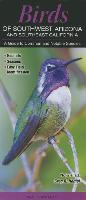 Birds of Southwest Arizona and Southeast California: A Guide to Common & Notable Species