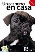 Un cachorro en casa : antes de adquirir tu cachorro y ahora que ya tienes tu cachorro