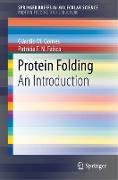 Protein Folding