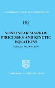 Nonlinear Markov Processes and Kinetic Equations