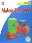Matematicas 6 (6.1-6.2-6.3)
