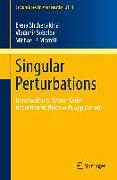 Singular Perturbations