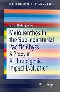 Meiobenthos in the Sub-equatorial Pacific Abyss