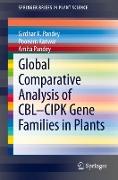 Global Comparative Analysis of CBL-CIPK Gene Families in Plants