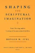 Shaping the Scriptural Imagination: Truth, Meaning, and the Theological Interpretation of the Bible