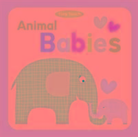 Animal Babies