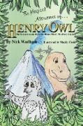 The Magical Adventures of Henry Owl