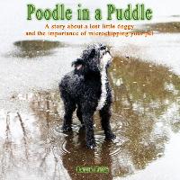 Poodle in a Puddle