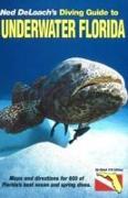 Diving Guide to Underwater Florida