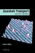 Quantum Transport