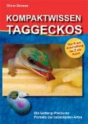 Kompaktwissen Taggeckos