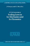 IUTAM Symposium on Scaling Laws in Ice Mechanics and Ice Dynamics