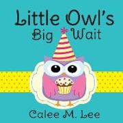 Little Owl's Big Wait