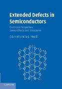 Extended Defects in Semiconductors