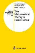 The Mathematical Theory of Dilute Gases